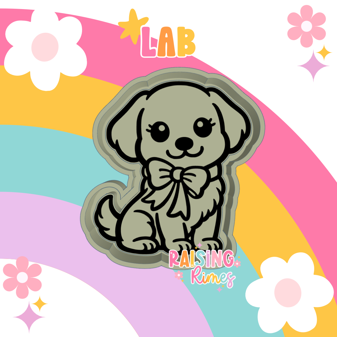 Lab Silicone Mold