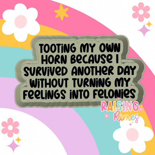 Feelings Into Felonies Silicone Mold