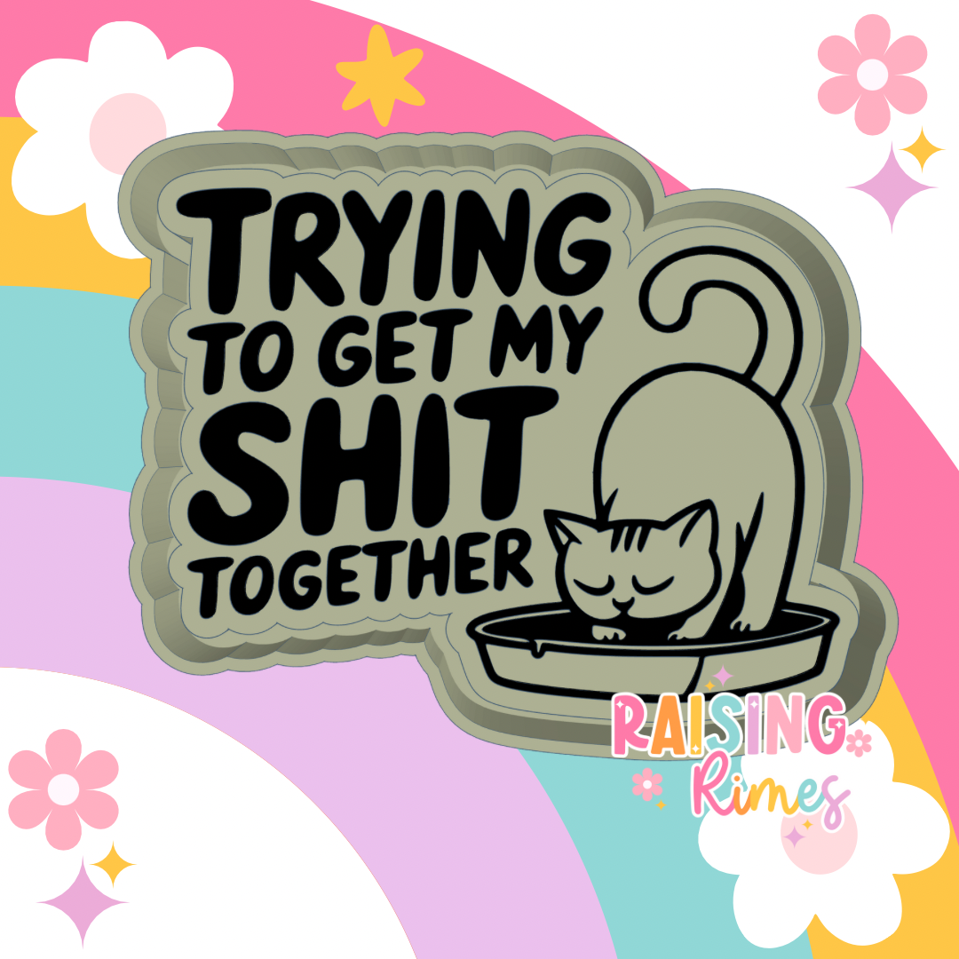Trying To Get My Shit Together Silicone Mold